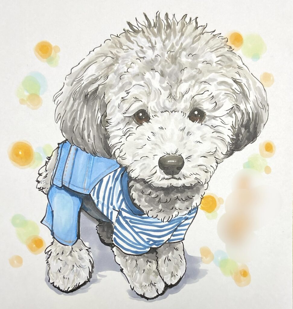 トイプードルの似顔絵