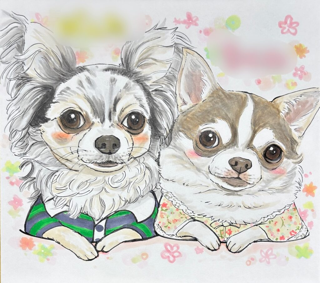 チワワの可愛い似顔絵